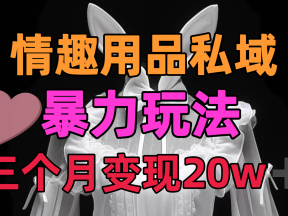 情趣用品私域,25年最新暴力玩法,三个月变现20w➕